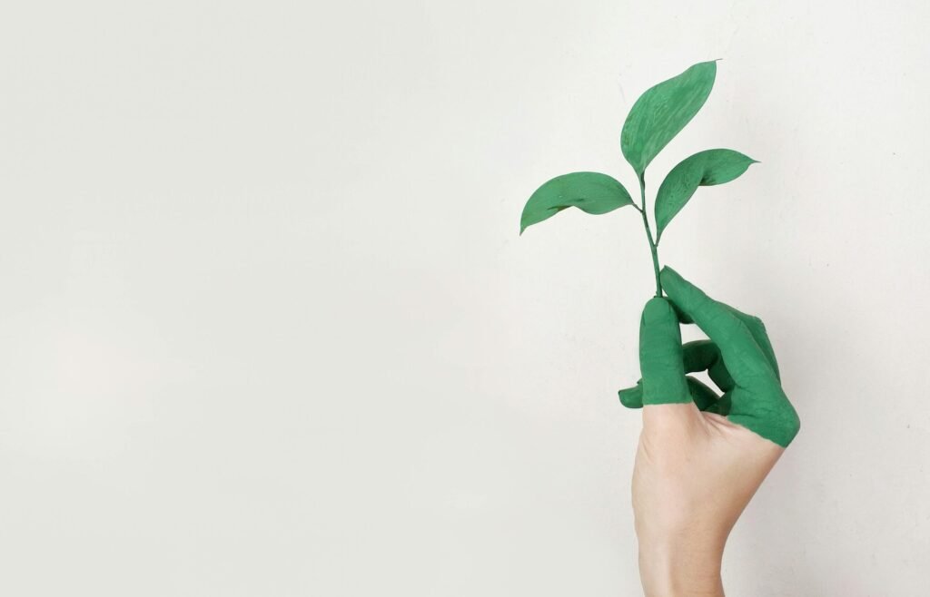A hand painted green holds a fresh plant sprout against a light background, symbolizing growth and sustainability.